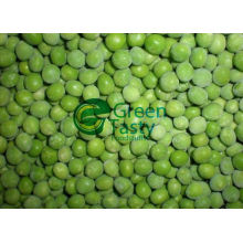 Vegetales IQF congelado verde guisante
